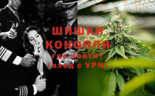 apvp Лиски