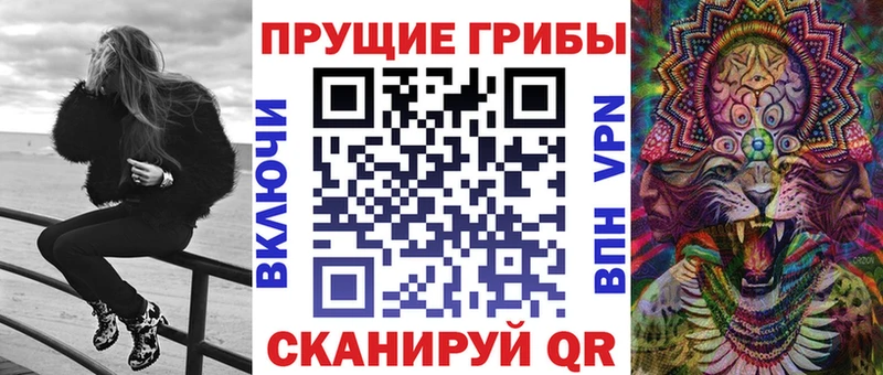 закладки  Очёр  Псилоцибиновые грибы Psilocybe 