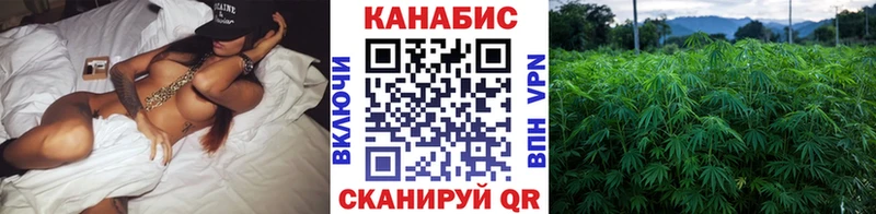 Бошки Шишки OG Kush Очёр